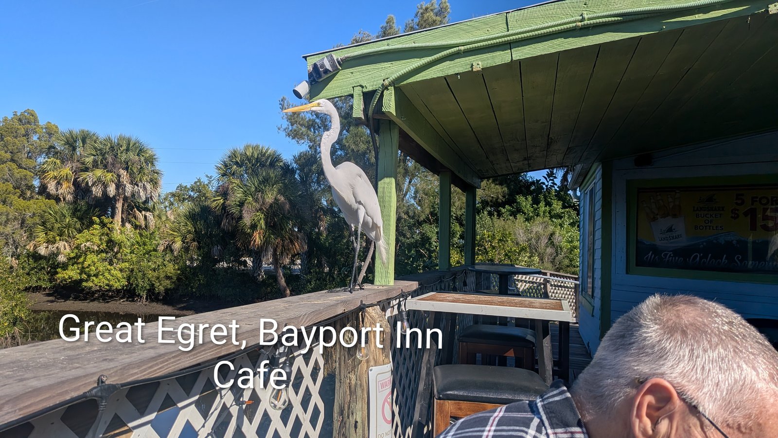 Bonita Springs, Bradenton, and Steinhatchee — Moving Through Florida