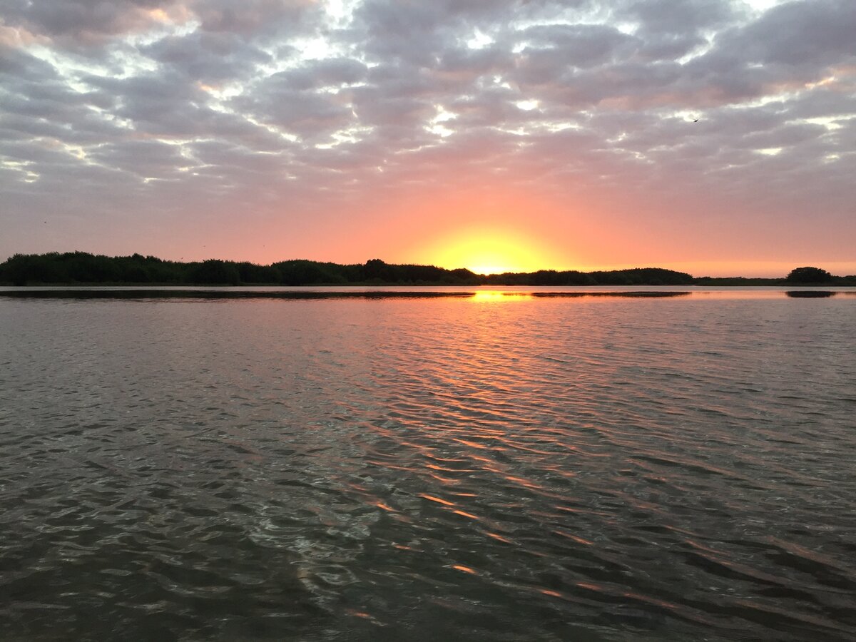 Flamingo/Birds Sunrise Tour - Pics