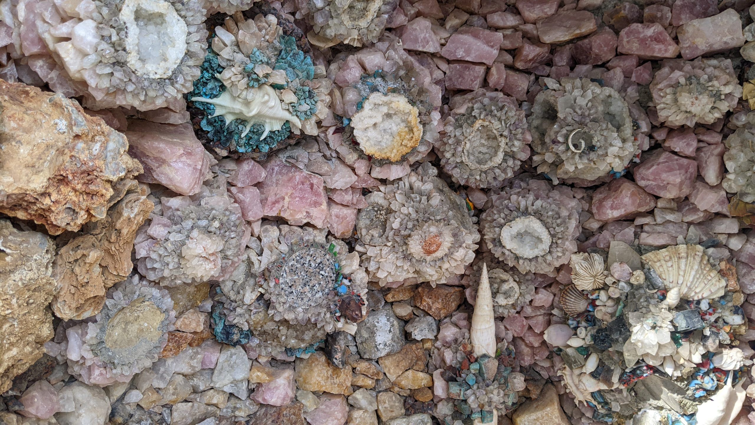 Shells midst the rocks and crystals and gems.